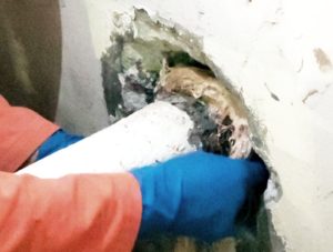 watertight pipe penetration sealing SealBoss