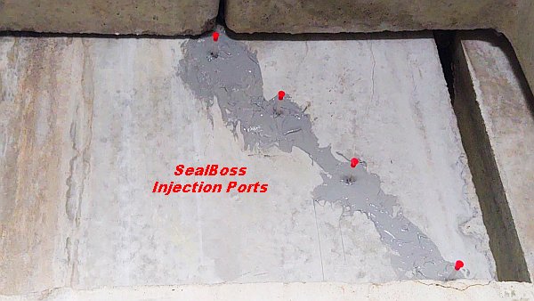 Epoxy Injection Ports with Caps SealBoss