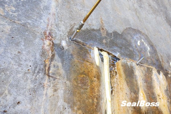 Efflorescence and leaks SealBoss